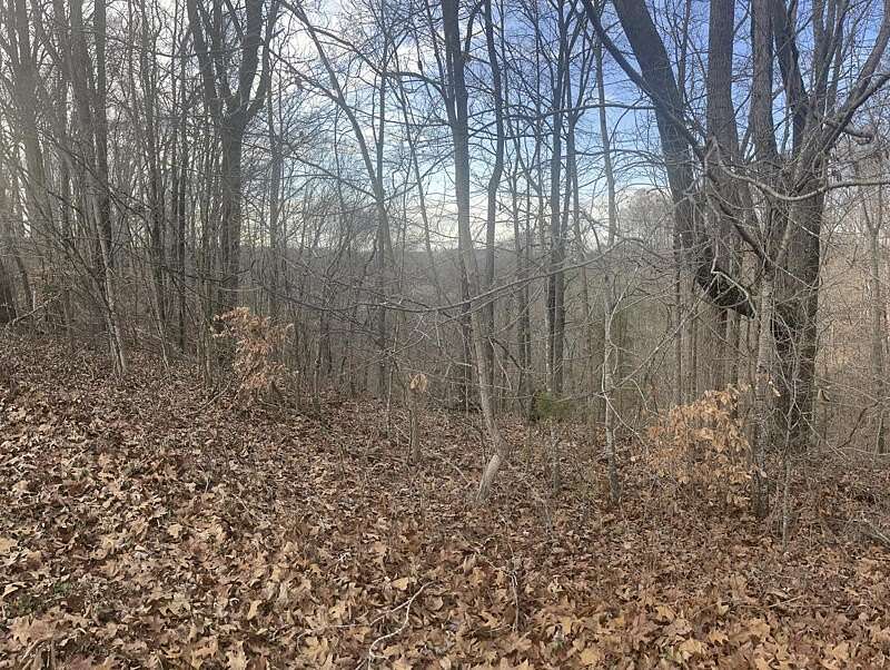 1.1 Acres of Land for Sale in Nancy, Kentucky