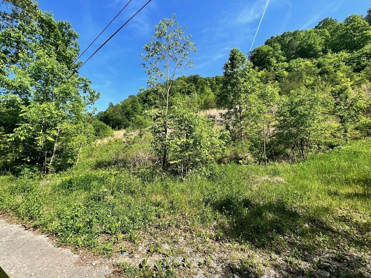 15 Acres of Land for Sale in McDowell, Kentucky