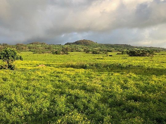 615 Acres of Agricultural Land for Sale in Hawi, Hawaii