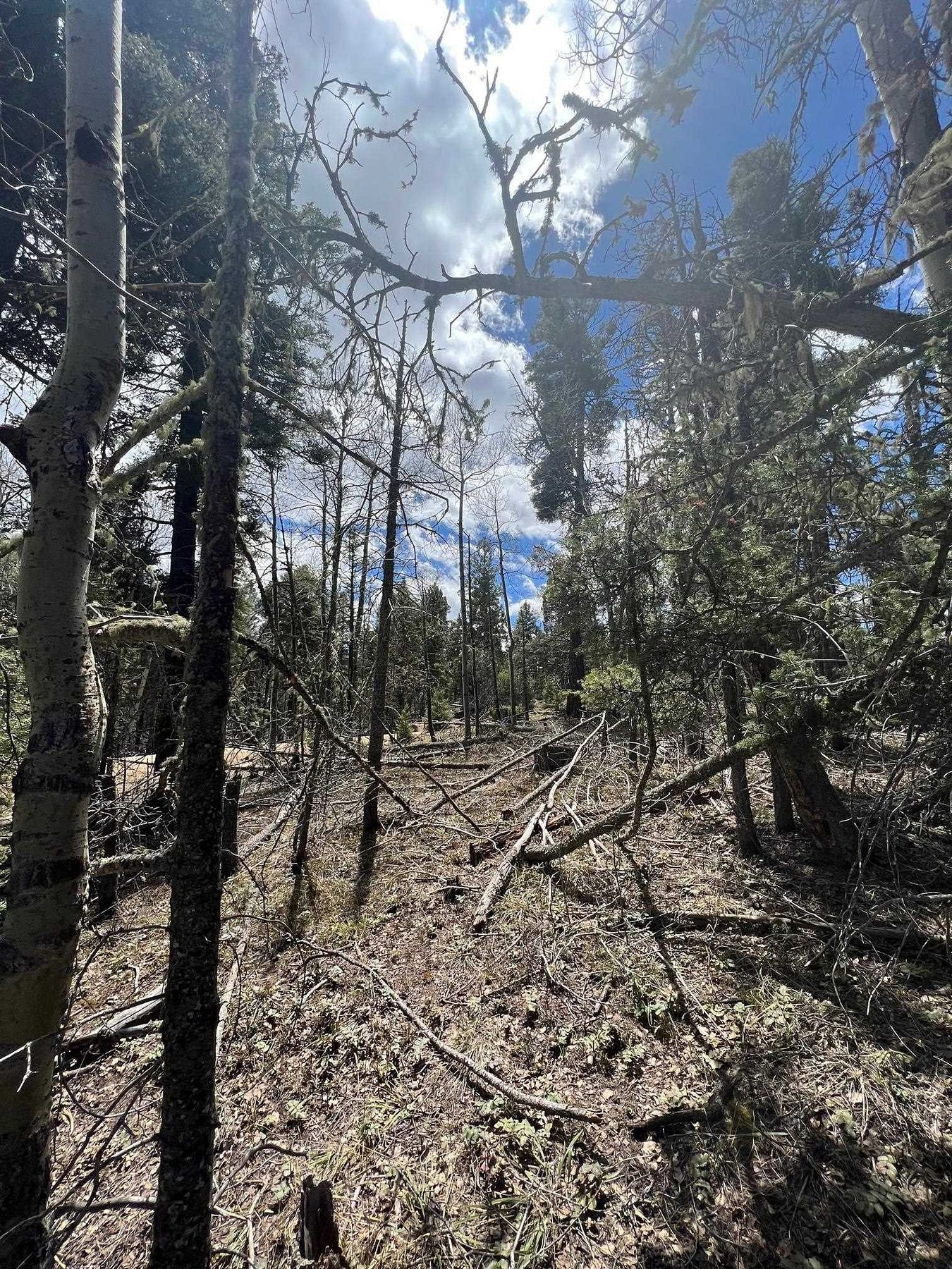 1 Acre of Residential Land for Sale in Angel Fire, New Mexico