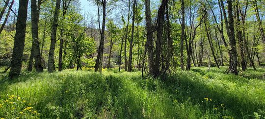 335.89 Acres of Land for Sale in Yreka, California