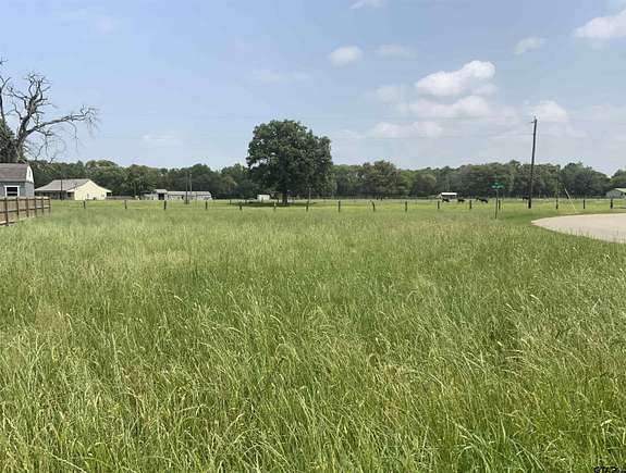 0.239 Acres of Residential Land for Sale in Chandler, Texas