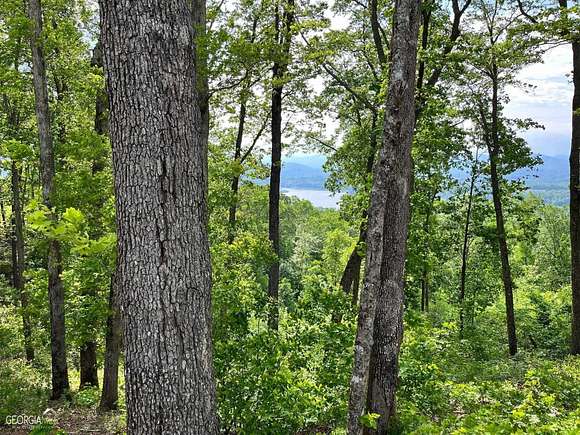 1.6 Acres of Residential Land for Sale in Blairsville, Georgia