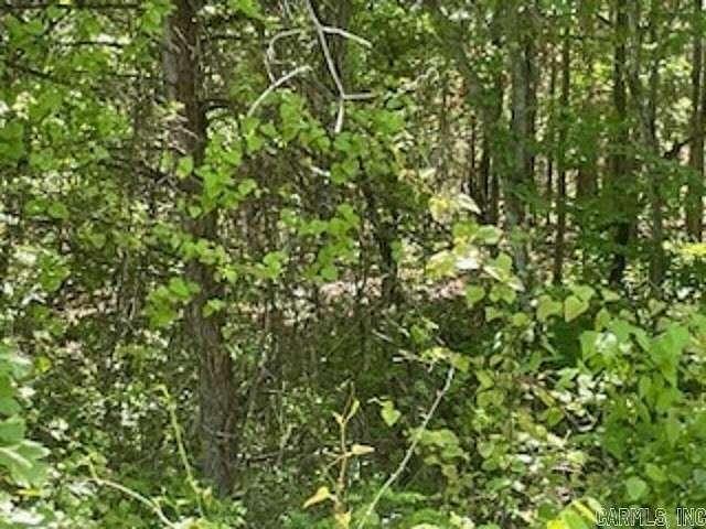 1.7 Acres of Land for Sale in Flippin, Arkansas