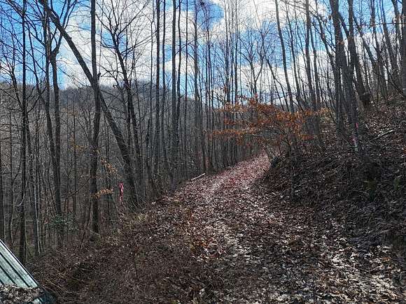 6 Acres of Residential Land for Sale in Hiawassee, Georgia