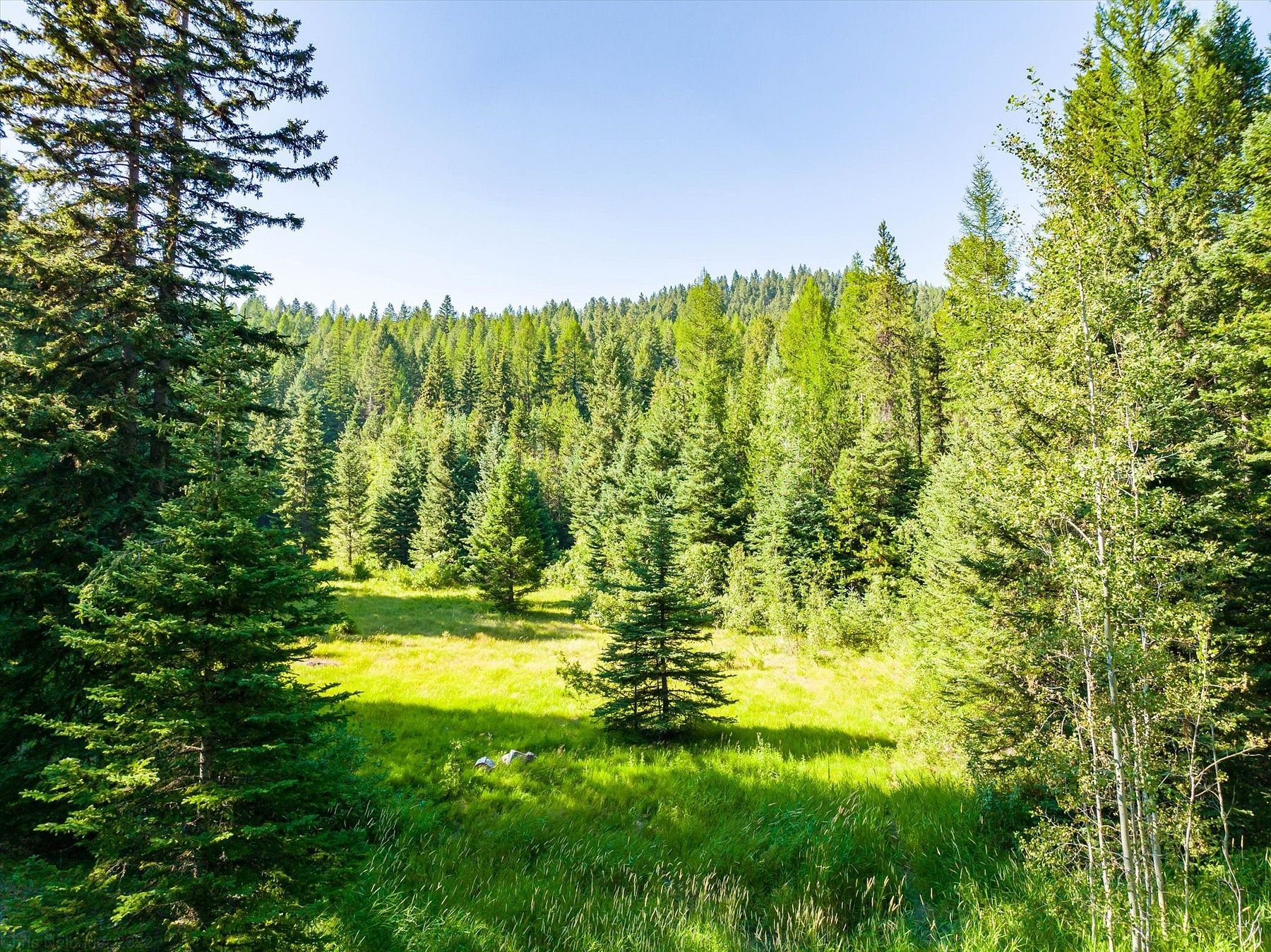 50.2 Acres of Land for Sale in Kalispell, Montana