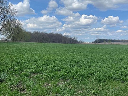 60 Acres of Land for Sale in Long Prairie, Minnesota