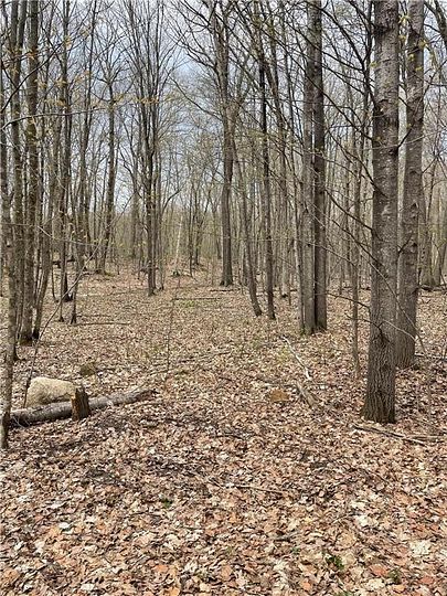 1.3 Acres of Residential Land for Sale in Farm Island Township, Minnesota