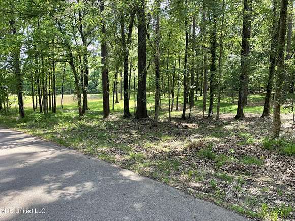 2 Acres of Residential Land for Sale in Madison, Mississippi