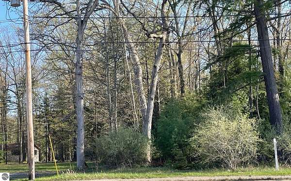 0.4 Acres of Commercial Land for Sale in Prudenville, Michigan