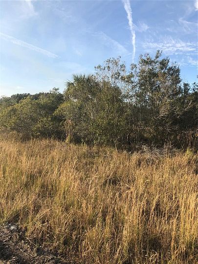 0.36 Acres of Residential Land for Sale in Palm Bay, Florida