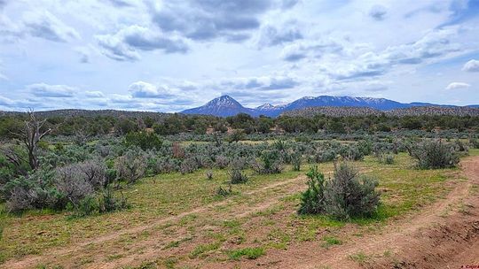 641 Acres of Agricultural Land for Sale in Cortez, Colorado