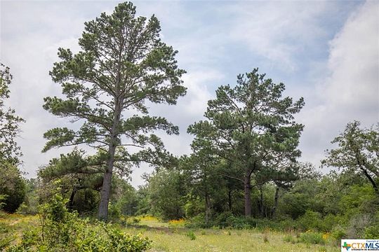 160 Acres of Recreational Land & Farm for Sale in Dale, Texas