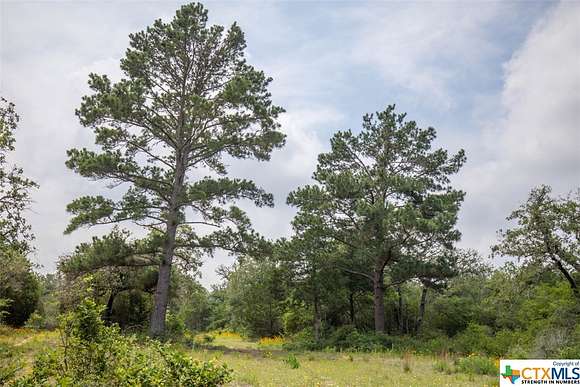 160 Acres of Recreational Land & Farm for Sale in Dale, Texas