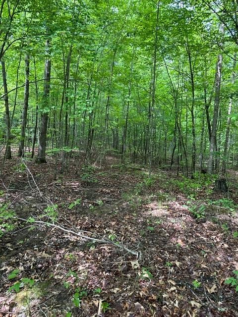 5.7 Acres of Residential Land for Sale in Wilder, Tennessee