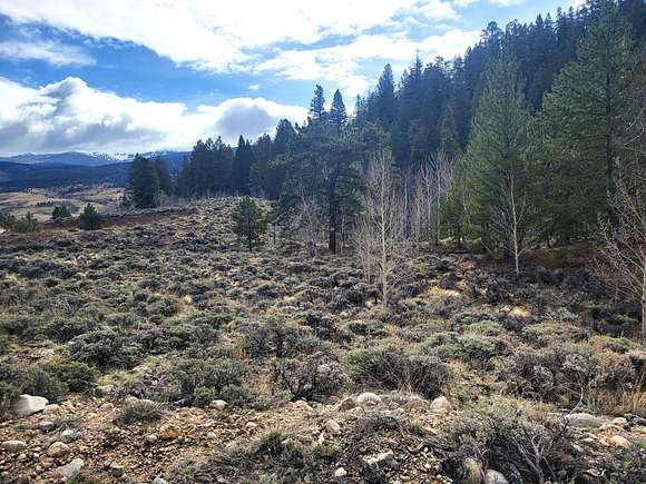 4.2 Acres of Land for Sale in Twin Lakes, Colorado