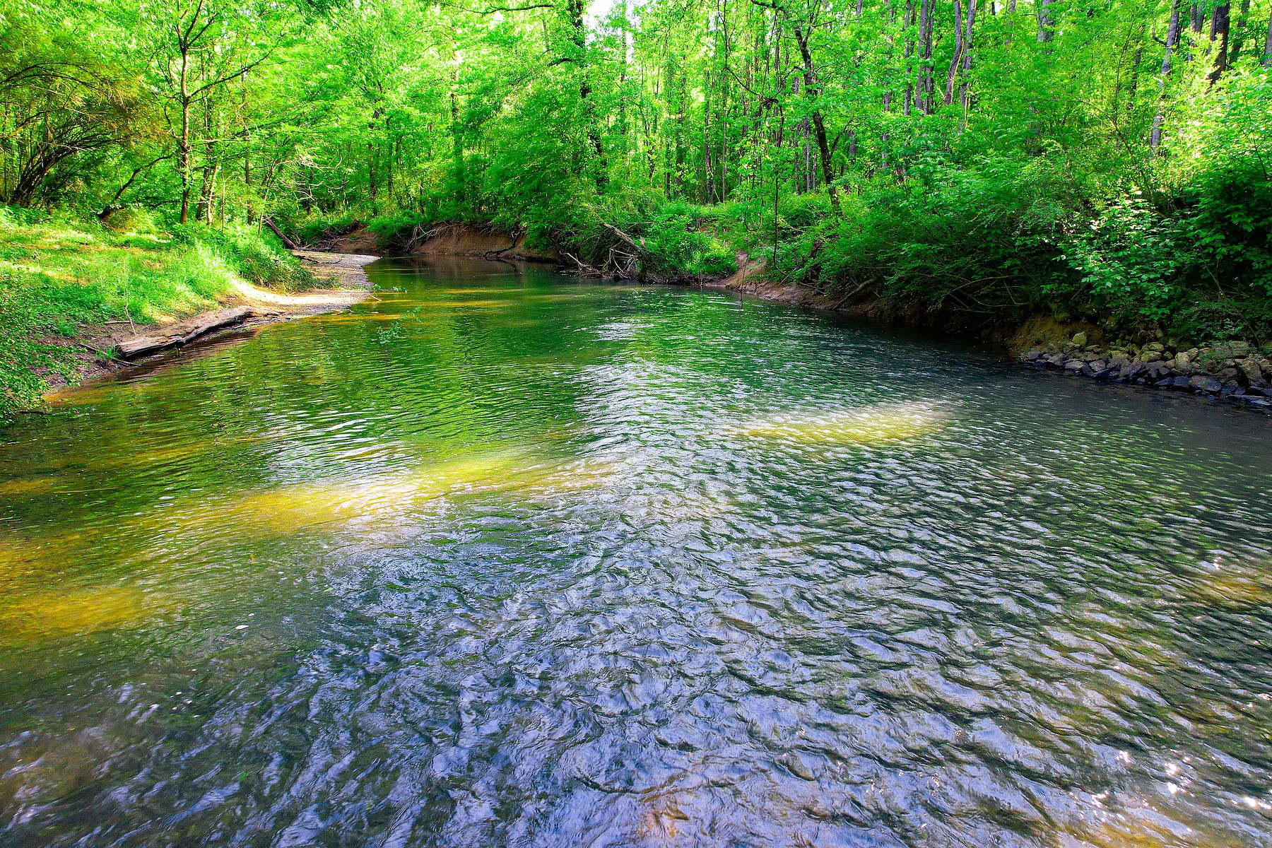 294 Acres of Recreational Land for Sale in Summerville, Georgia