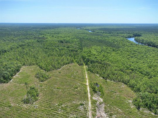 308 Acres Of Recreational Land For Sale In Kingsland Georgia LandSearch   Kingsland Ga 102005861 