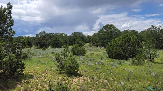 20 Acres of Land for Sale in Fence Lake, New Mexico