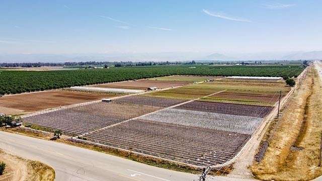 23.7 Acres of Agricultural Land for Sale in Sanger, California