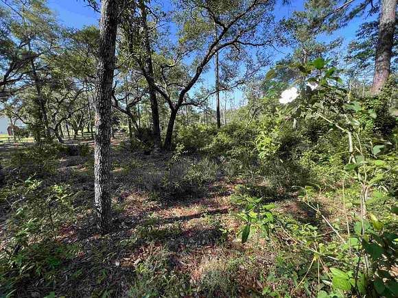 0.793 Acres of Residential Land for Sale in Lillian, Alabama