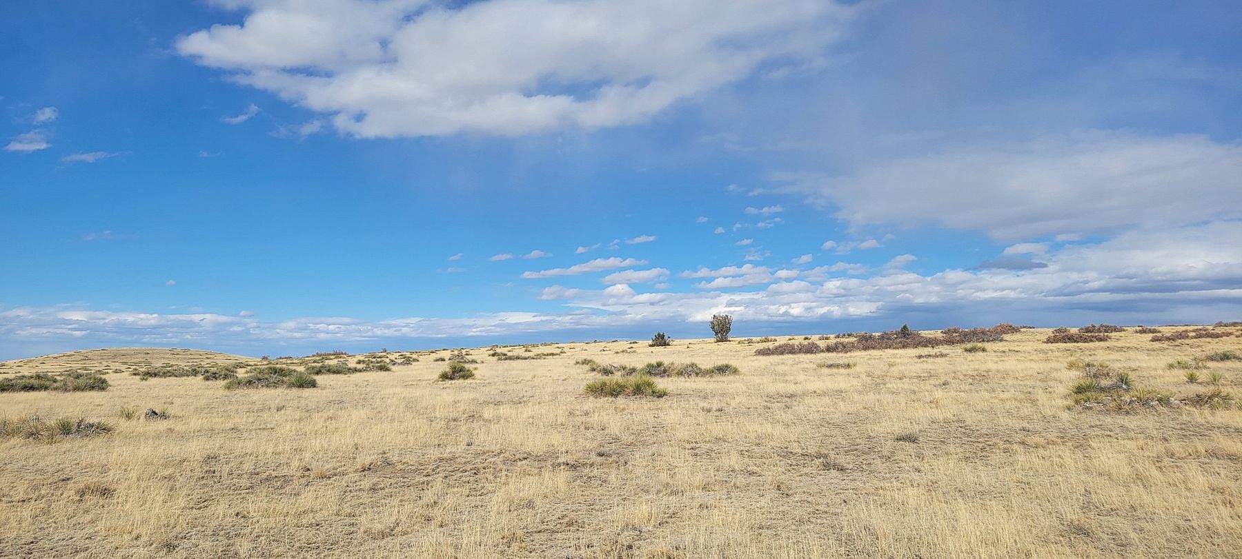 360 Acres of Recreational Land & Farm for Sale in Trinchera, Colorado