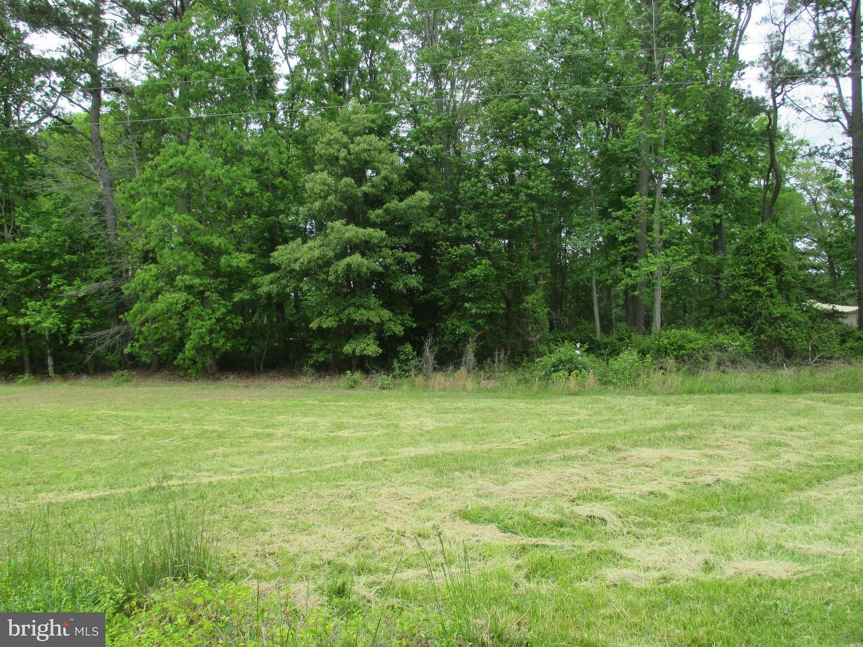 0.48 Acres of Land for Sale in Frankford, Delaware