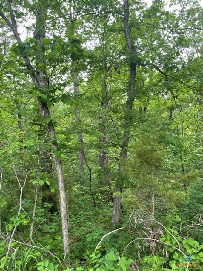 0.5 Acres of Residential Land for Sale in Warsaw, Missouri