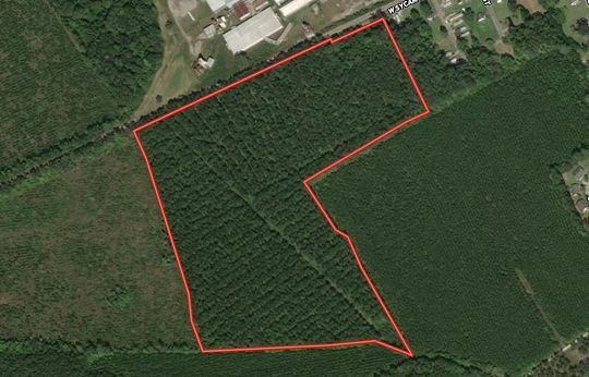 40 Acres of Recreational Land for Sale in Aulander, North Carolina