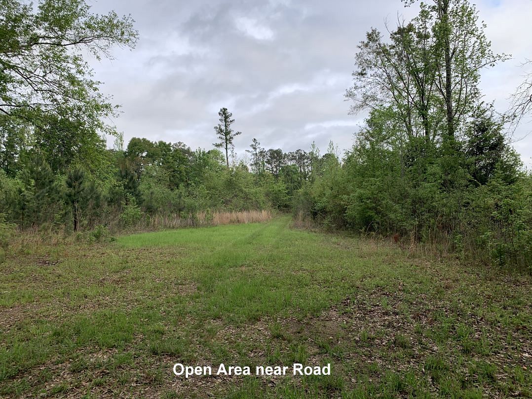 109 Acres of Recreational Land for Sale in Minter, Alabama LandSearch