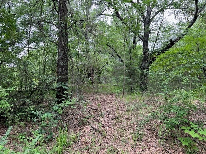 0.11 Acres of Residential Land for Sale in Trinidad, Texas
