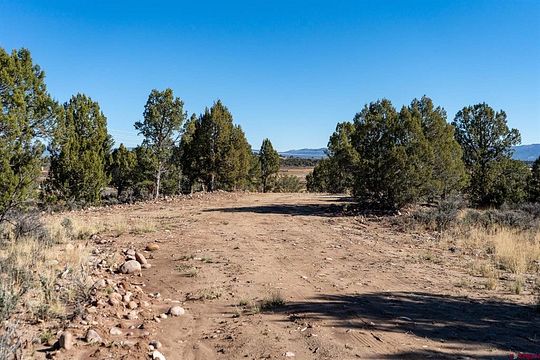 Land For Sale Ignacio Co