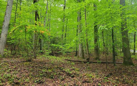 7 Acres of Residential Land for Sale in Hayesville, North Carolina