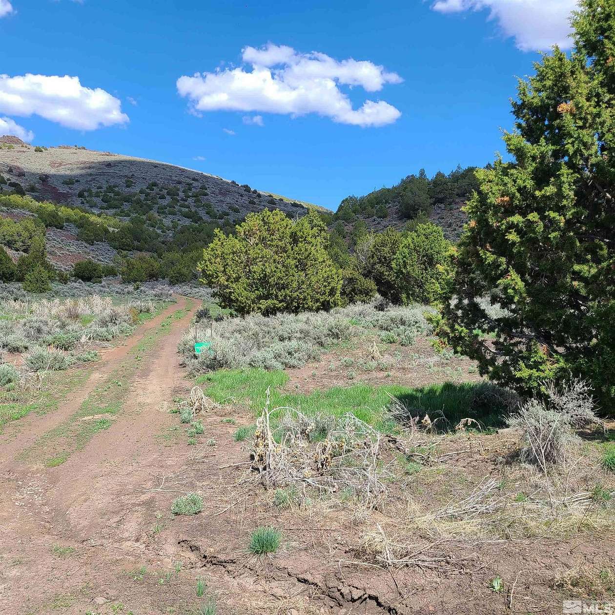 202 Acres of Land for Sale in Reno, Nevada