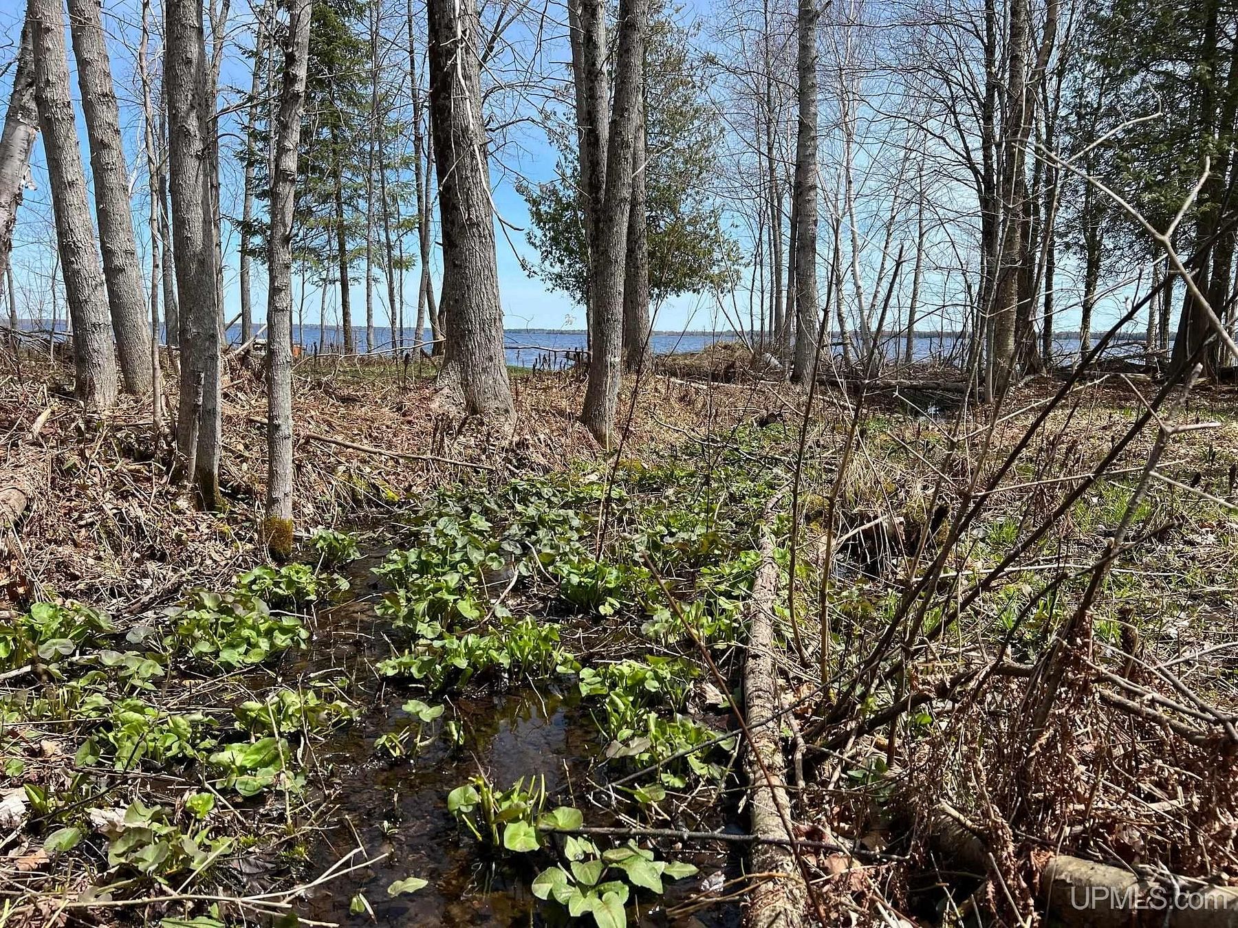 0.47 Acres of Residential Land for Sale in Manistique, Michigan