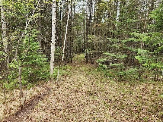 46 Acres of Recreational Land for Sale in Crivitz, Wisconsin