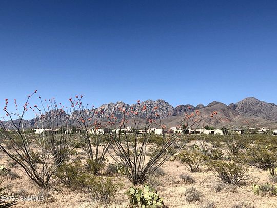 23.2 Acres of Land for Sale in Las Cruces, New Mexico
