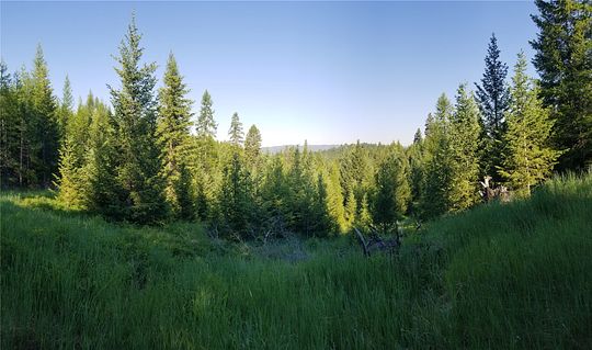 40 Acres of Land for Sale in Kalispell, Montana