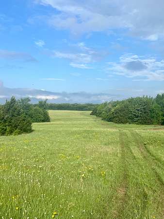 77 Acres of Land for Sale in Ardmore, Oklahoma