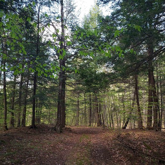18 Acres of Recreational Land for Sale in Bradford, Vermont