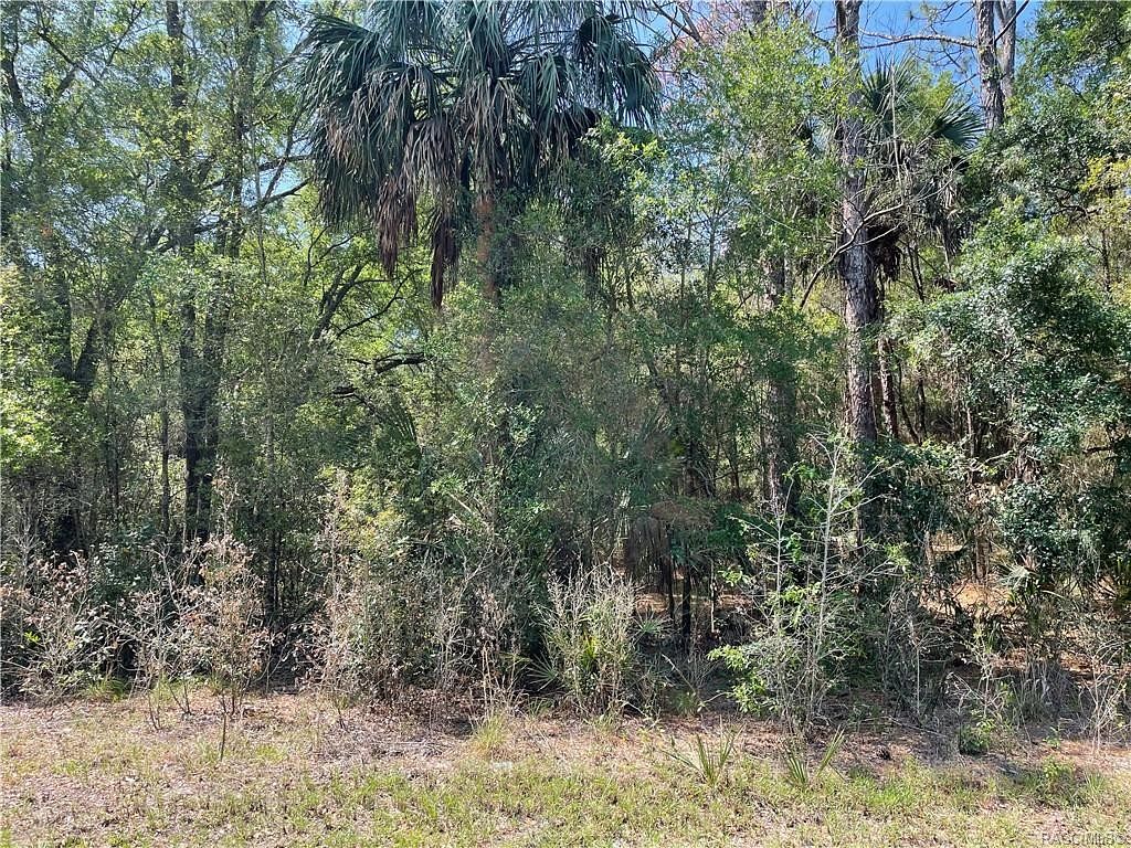 0.29 Acres of Land for Sale in Crystal River, Florida