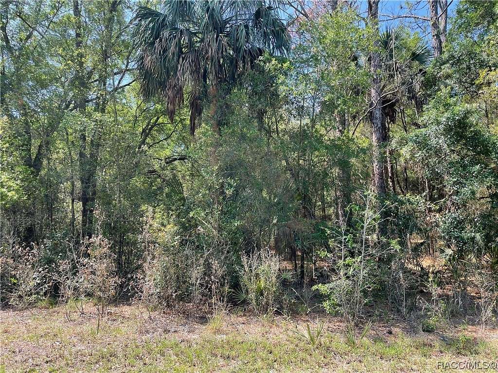 0.29 Acres of Land for Sale in Crystal River, Florida