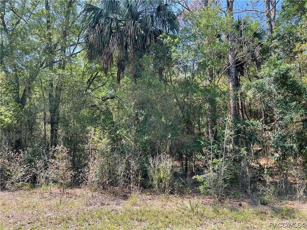 0.29 Acres of Residential Land for Sale in Crystal River, Florida
