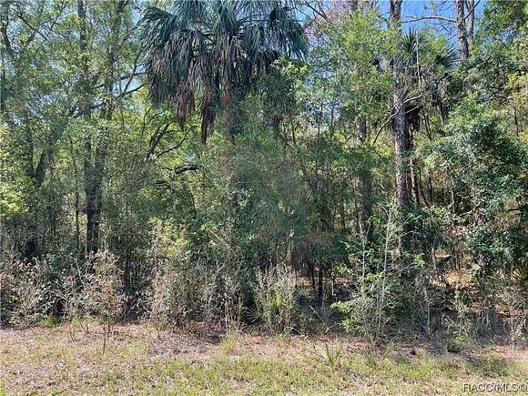 0.29 Acres of Land for Sale in Crystal River, Florida