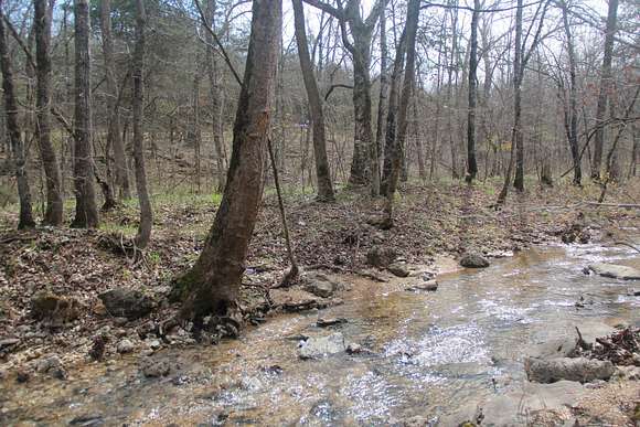 74 Acres of Land for Sale in Eureka Springs, Arkansas