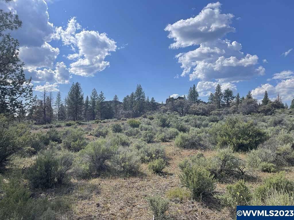 20 Acres of Land for Sale in Beatty, Oregon