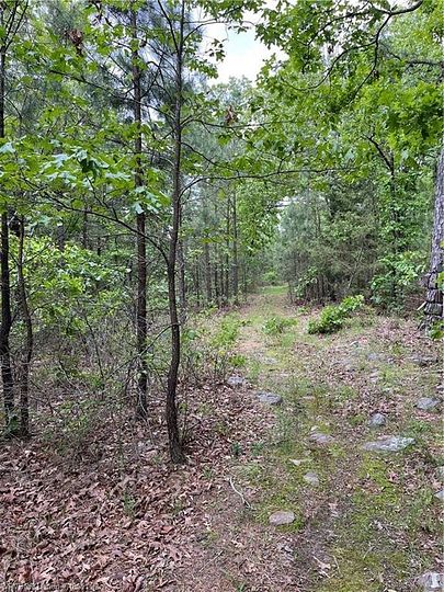 22.5 Acres of Land for Sale in Moyers, Oklahoma