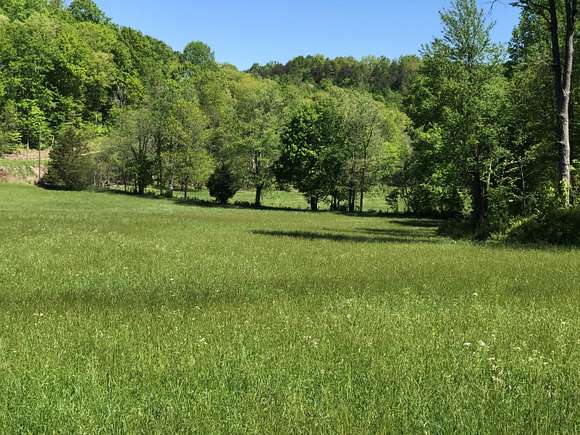 181 Acres of Recreational Land & Farm for Sale in Monticello, Kentucky