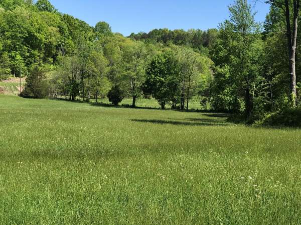 156 Acres of Recreational Land for Sale in Monticello, Kentucky