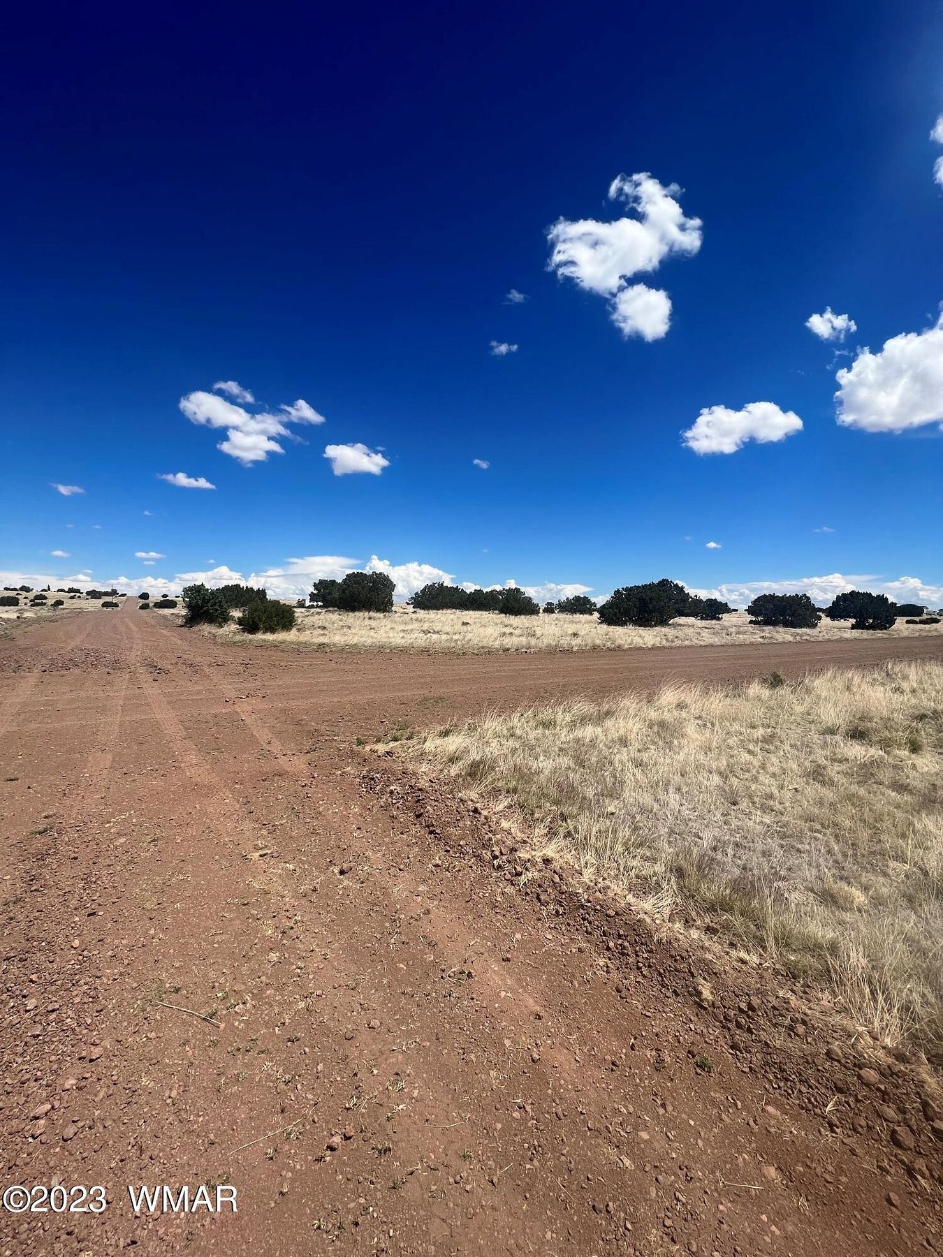 3.1 Acres of Residential Land for Sale in Concho, Arizona